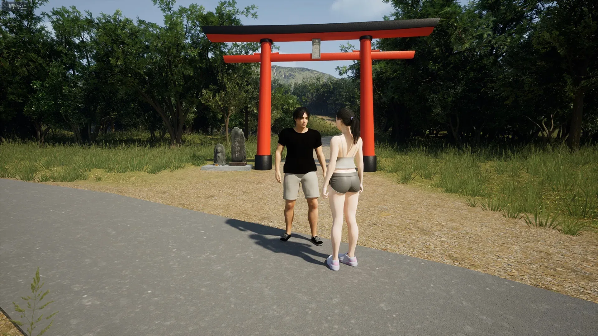 十年后的夏天：红色鸟居前完整着装双人物普通交流